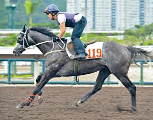 20130602_Willie_Cazals