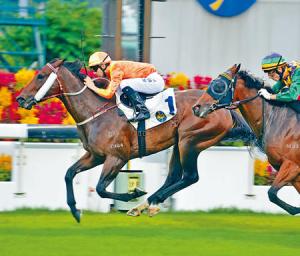 20131110_Flagship Shirne