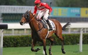 20131215_Wayfoong_Express