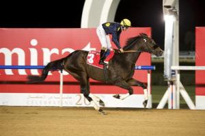 20141106_Cross_Grain