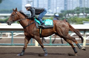 20141208_Able_Friend