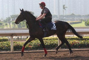 20141209_Captain_Cat