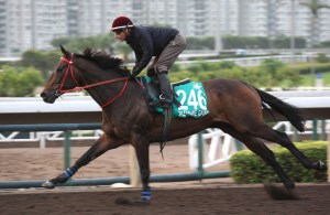 20141209_Pleasure_Gain