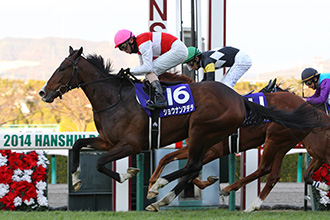 10億預算的國本哲秀打倒2014年的他