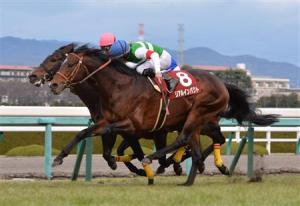 20141227_Real_Impact