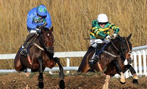 20141229_Hurricane_Fly