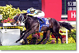 歷史名駒系列，超晚成名駒黃金旅程