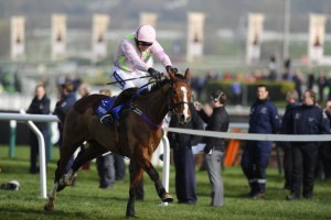 Cheltenham Festival - Ladies Day