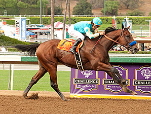 20140927_American_Pharoah