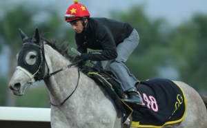 20150115_Giant_Treasure