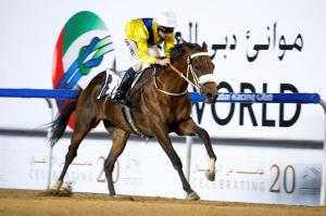 20150115_Mubtaahij