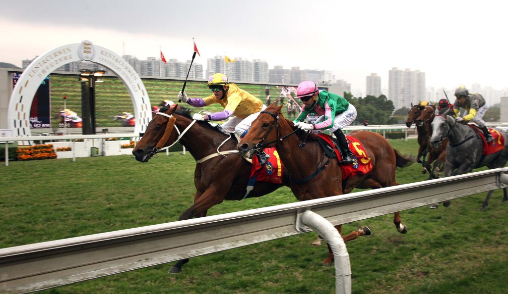 20150125_Peniaphobia