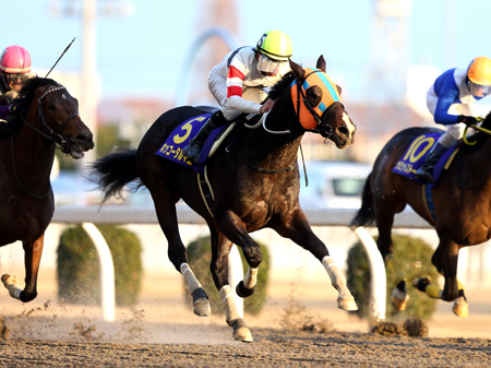 20150128_Hokko_Tarumae