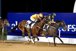 20150212_Reynaldothewizard