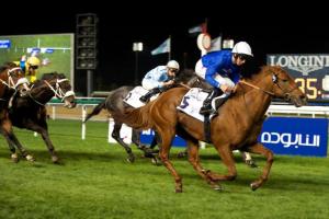 20150226_Safety_Check