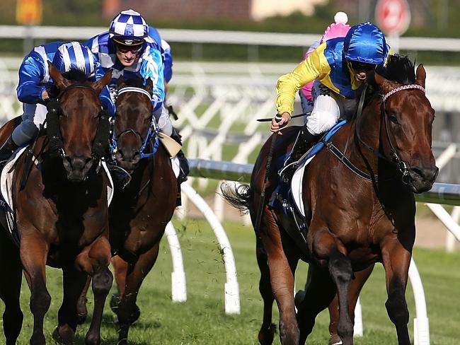 20150228_Pride_of_Dubai