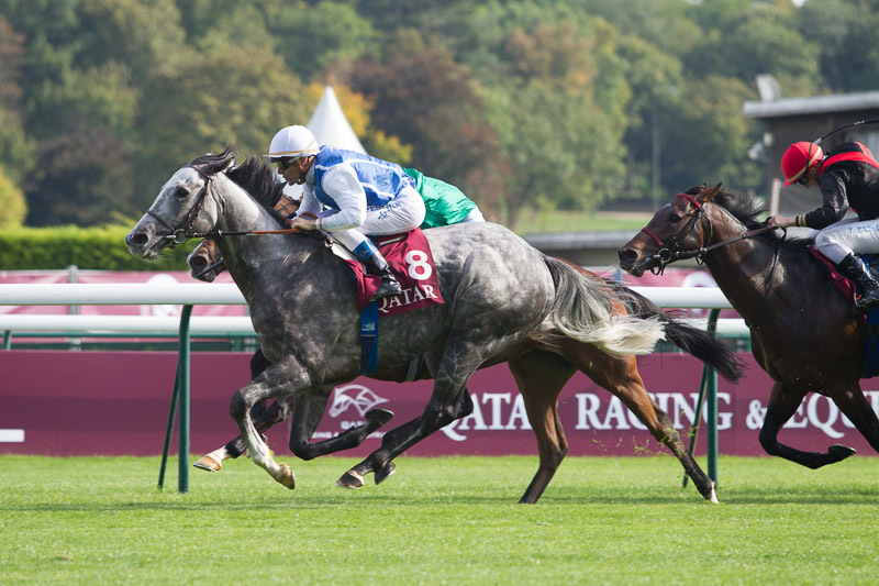 蘇銘倫確定週日賽後不再續牌