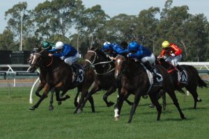 20150228_Contributer