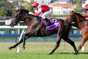 20150228_Mongolian_Khan