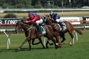 20150307_Hallowed_Crown