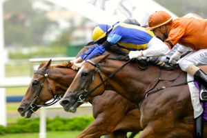 20150307_Sakhees_Soldier