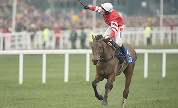 20150313_ Coneygree