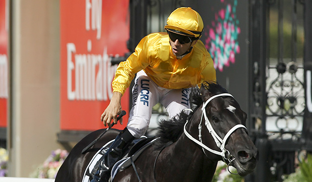 20150314_Brazen_Beau