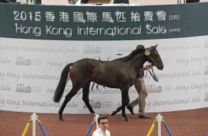 20150314_Savamour2012