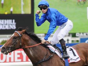 20150321_Contributer