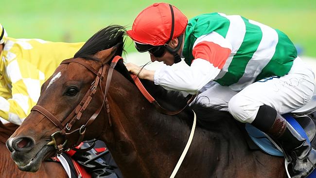 20150321_Real_Impact