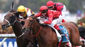 20150321_Volkstoknbarrell