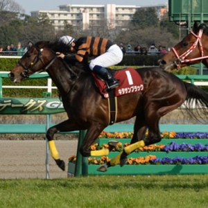 20150322_Kitasan_Black