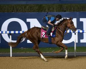 20150324_Golden_Barows