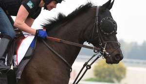 Dubai World Cup 2015