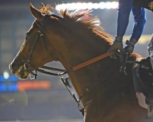 20150327_California_Chrome