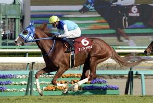 20150328_Admire_Deus