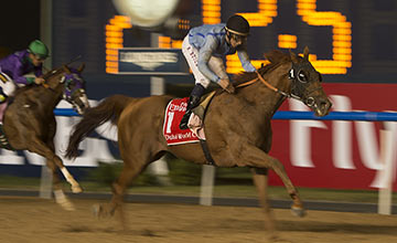 樞機主教試了四次，每次被看低下，終於贏出杜拜世界盃。 Source:  Edward Whitaker/racingpost.com