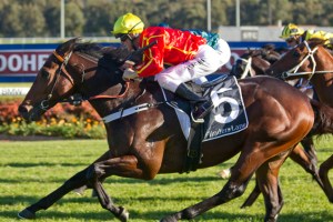 20131214_Ninth_Legion