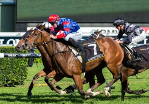 20140419_Diamond_Drille