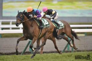 20150307_Kokorono_Ai