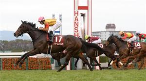 20150315_Queens_Ring2