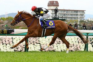 20150412_Lets_Go_Donki