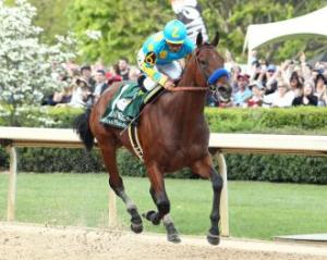 20150413_American_Pharoah