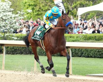 20150413_American_Pharoah