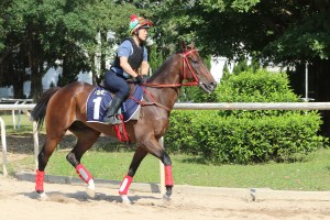 20150415_Gurus_Dream