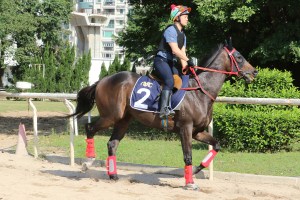 20150415_Winning_Leader