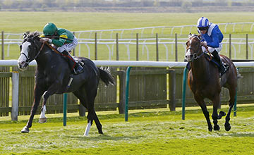 20150416_Kool_Kompany