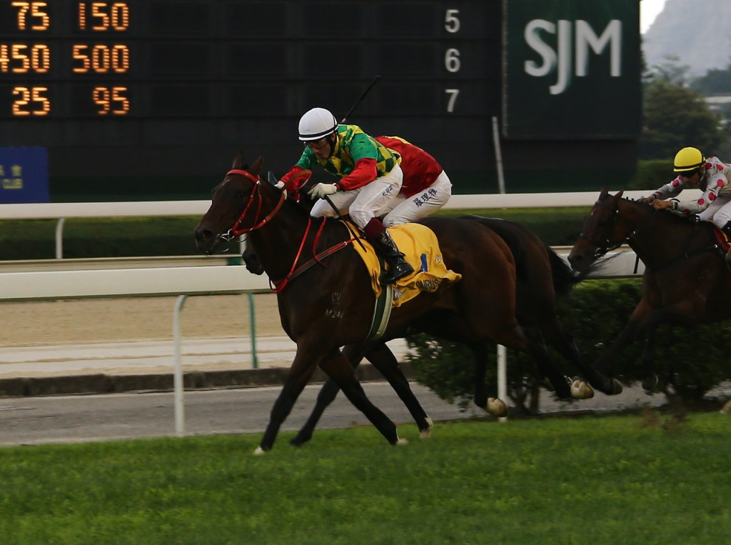 20150418_Gurus_Dream