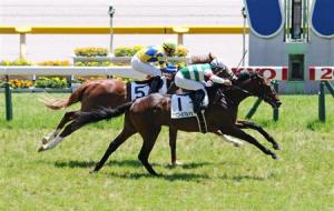 20140615_Avenir_Marcher