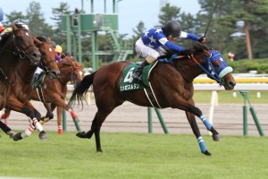 20140831_Musee_Sultan